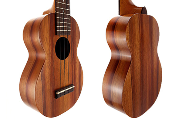 Seitiche Ansichten einer Ukulele mit Decke, Zargen und Boden 
