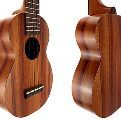 Seitiche Ansichten einer Ukulele mit Decke, Zargen und Boden 