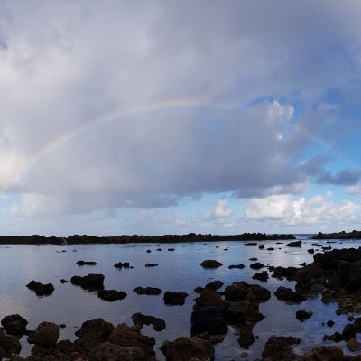 Regenbogen über Sharks Cove auf Oahu, Hawaii