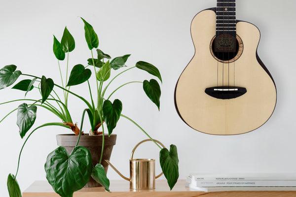 Ukulele an der Wand hinter einer grünblättrigen Zimmerpflanze
