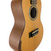 Baton Rouge rECO Series Fichte/Elsbeere Konzert Ukulele (UTW-C) Detail