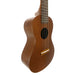 Famous Mahogany Konzert Ukulele FC-1G links