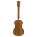 Famous Koa Konzert Ukulele FC-5G Rückseite