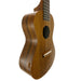 Famous Koa Konzert Ukulele FC-5G links