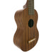 Famous Mahogany Soprano Ukulele FS-1 links