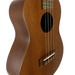Famous Mahogany Tenor Ukulele FT-1G Detail