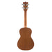 Flight AUC-33 Mansion Konzert Ukulele