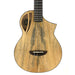 Flight Aviator Mango CE Bariton Ukulele #R2508730 Decke