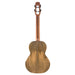 Flight Fireball Tenor EQ-A Ukulele (#CAO2408457) Boden