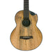 Flight Maia Steel String Bariton Ukulele mit Tonabnehmer