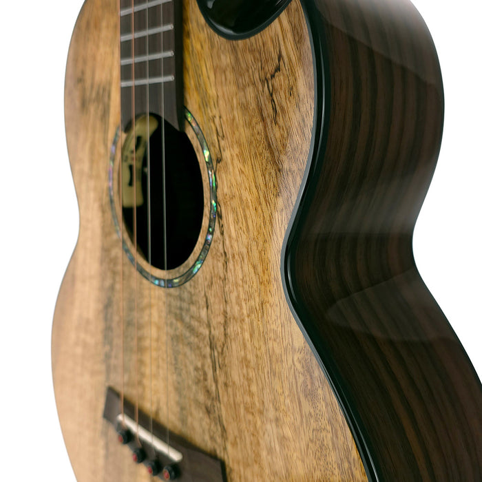 Flight Maia Steel String Bariton Ukulele mit Tonabnehmer