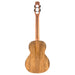 Flight Songbird Mango EQ-A Tenor Ukulele #R2507604 Rückseite