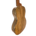Flight Songbird Mango EQ-A Tenor Ukulele #R2507604 hinten links