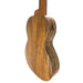 Flight Songbird Mango EQ-A Tenor Ukulele #R2507604 hinten rechts