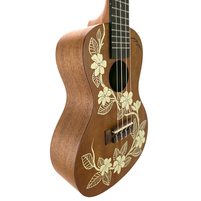 Kala Voyage Series Gardenia Konzert Ukulele B-Ware