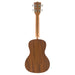 Kala Voyage Series Guidance Konzert Ukulele Rückseite