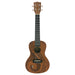 Kala Voyage Series Guidance Konzert Ukulele