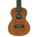 James Hill Signature Solid Top Mahogany Konzert Ukulele Decke
