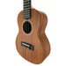 James Hill Signature Solid Top Mahogany Konzert Ukulele rechts