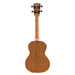 James Hill Signature All Solid Mahogany Konzert Ukulele mit Tonabnehmer B-Ware Rückseite