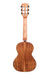 Kala All Solid Cedar Top Acacia 6-String Tenor Ukulele (KA-SCAC-T6) back