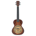 Kala Sunburst Brass Resonator Tenor Ukulele