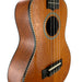 Kala All Solid Mahogany Taro Patch Concert Ukulele Details