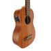 Kala U-Bass Wanderer Acoustic-Electric Fretted side 2Kala U-Bass Wanderer Acoustic-Electric Fretted detail