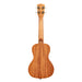 Kala Voyage Series Gardenia Konzert Ukulele Rückseite