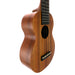 Kamaka Standard Longneck Ukulele HF-1L #250541 links