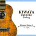Kiwaya Ukulele String Low-G Einzelsaite umwickelt (Wound Low-G)