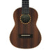 Detail der Decke und des verzierten Schalllochs der Millar BR 260 WG Tenor-Ukulele