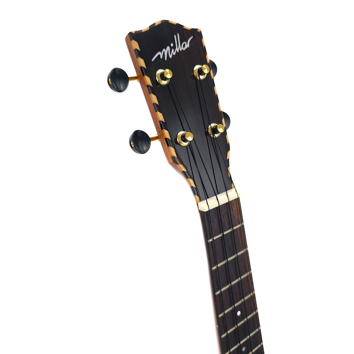 Millar CD-240W Massive Zeder/Palisander Konzert Ukulele (#0608219) Headstock