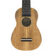 Millar MG-210L Massives Mango Sopran Longneck Ukulele (#2509181) Decke