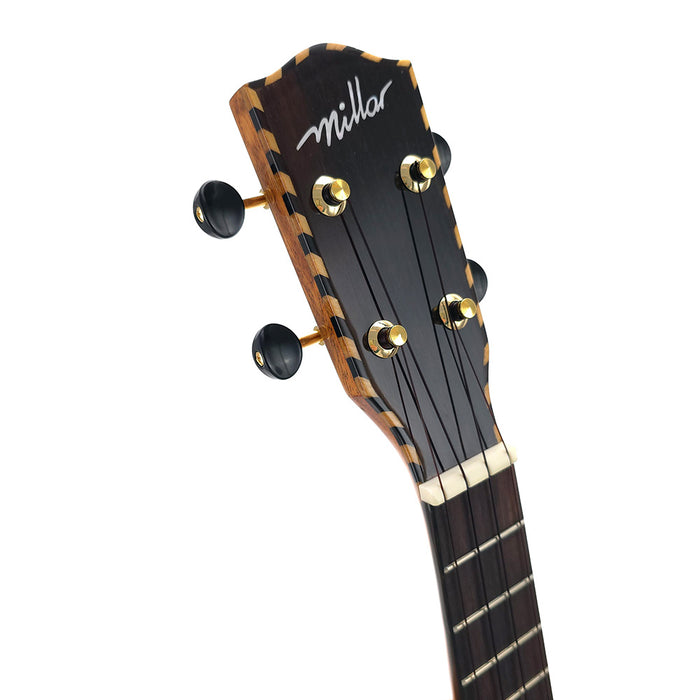 Millar SP-240 Massive Fichte/Akazie Konzert Ukulele #2511262 Kopfplatte