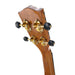 Millar SP-240 Massive Fichte/Akazie Konzert Ukulele #2511262 Mechaniken