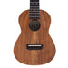 Millar TA-240 Massive Akazie Konzert-Ukulele (#2412181) Decke