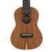 Millar TA-240 Massive Akazie Konzert-Ukulele (#2509182) Decke