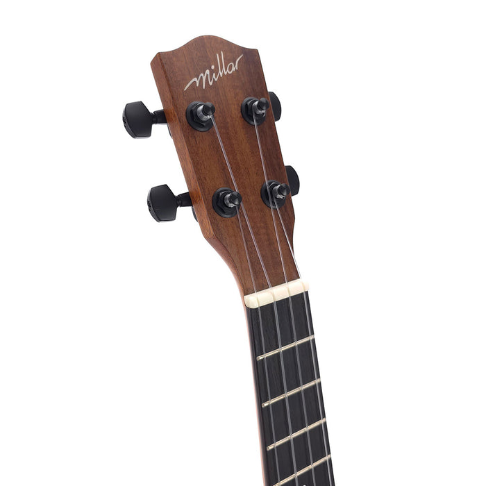 Millar TA-260 Massive Akazie Tenor-Ukulele (#2412183) Kopfplatte