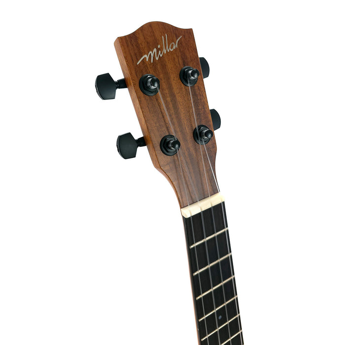 Millar TA-260 Massive Akazie Tenor-Ukulele (#2602134) Kopfplatte