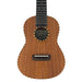 Millar TM-240WG Konzert-Ukulele aus massivem Mahagoni