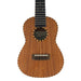 Millar TM-240WG Massiv Mahagoni Konzert-Ukulele #2310069 Decke
