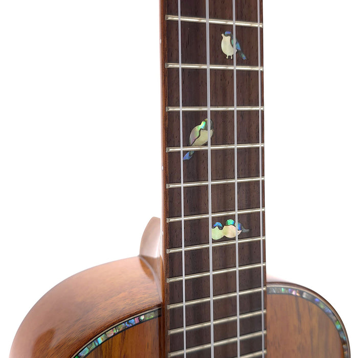 Ohana All Solid Koa Konzert Limited Edition (CK-370G) B-Ware