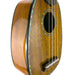 Ohana Solid Mango Pineapple Sopranissimo Ukulele (TTPK-220G) Detail