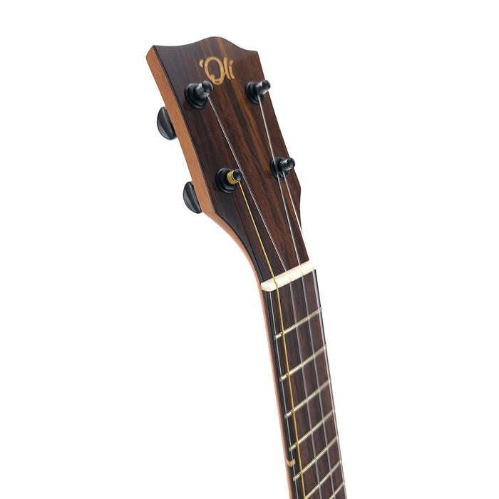'Oli Acacia Tenor Ukulele L1-TA #2501334 Kopfplatte