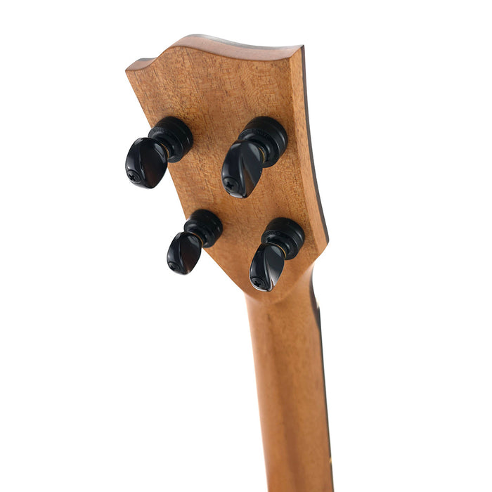 'Oli Cedar/Rosewood Gloss Tenor Ukulele L2-TCR #2501368 Headstock