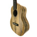 Romero Creations Grand Tenor Mango Ukulele #26002 rechts