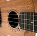 TODO "The Journey" Mahagoni Solid Top Konzert-Ukulele Design 2
