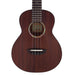 aNueNue African Mahogany AMM3 Tenor (#01775) Decke