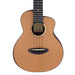 aNueNue Cedar Bird UT214 Tenor #12774 Decke